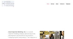 Desktop Screenshot of excelinjection.com